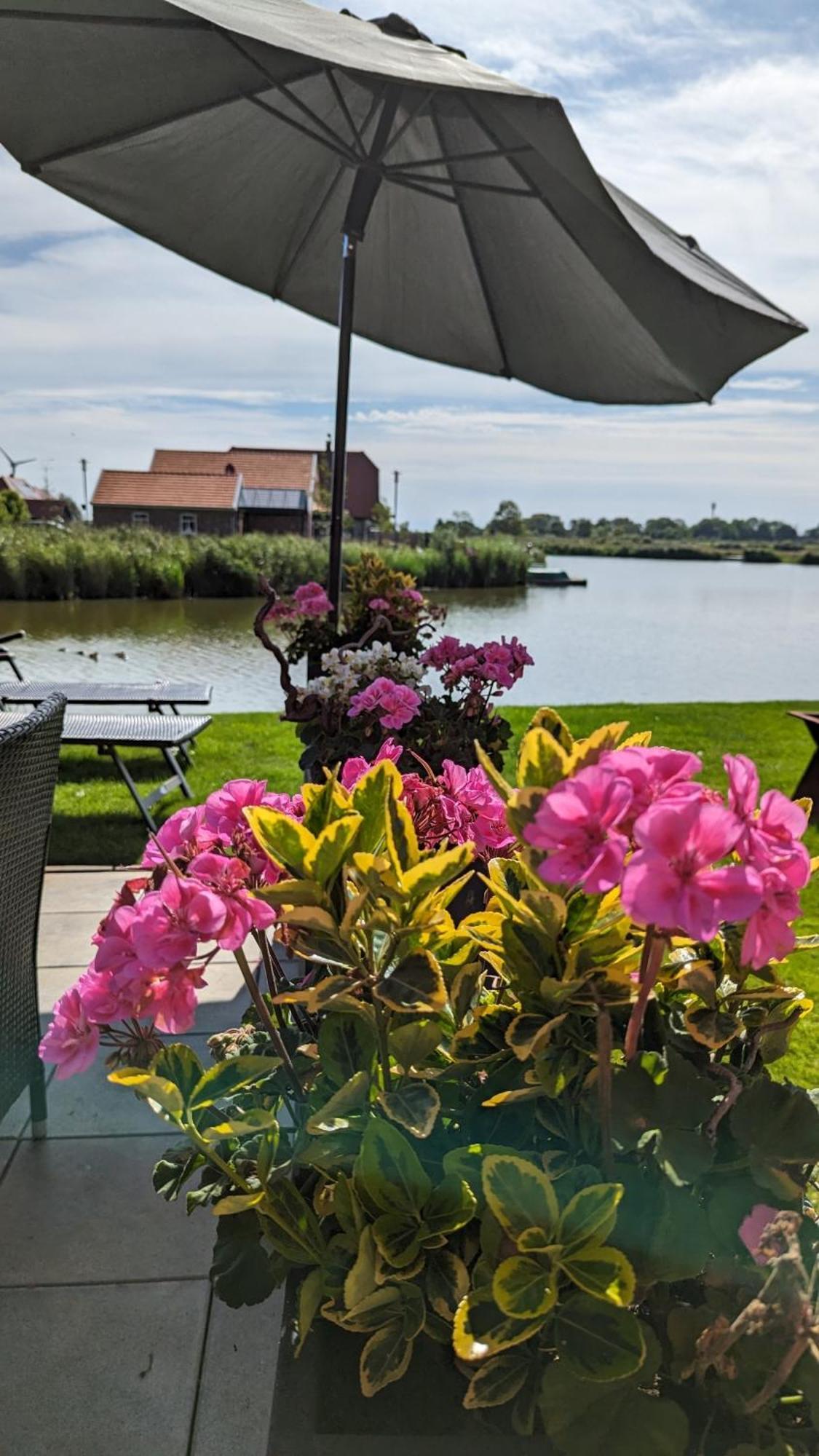 Deichblick Neuharlingersiel