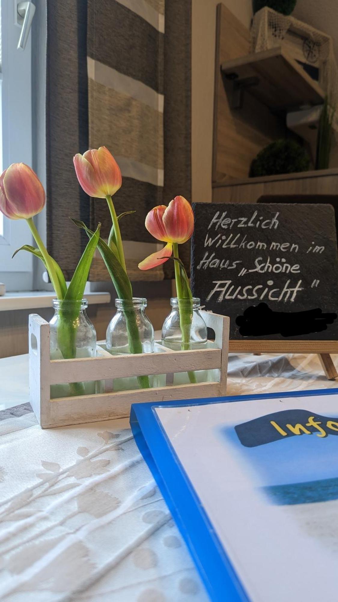 Deichblick Apartment